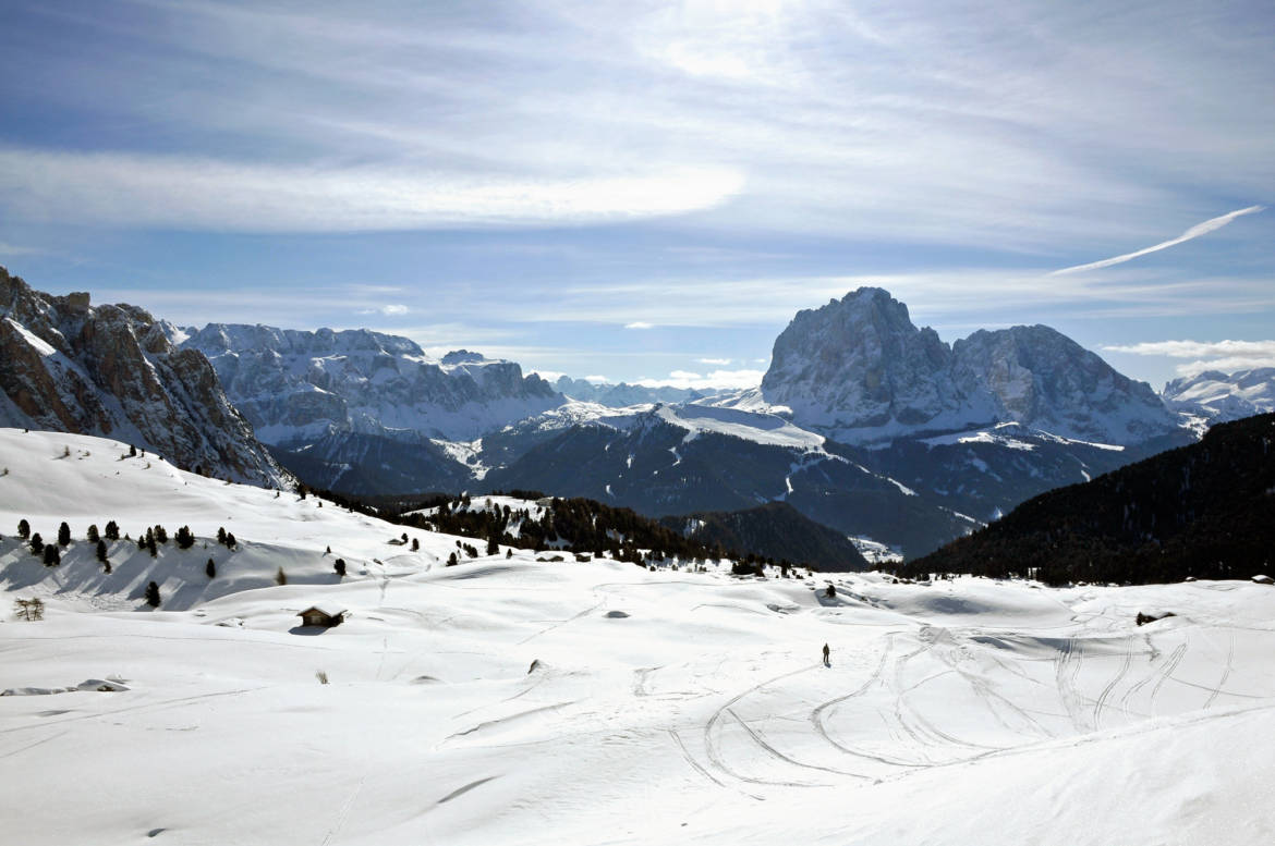 intro-bg1.jpg