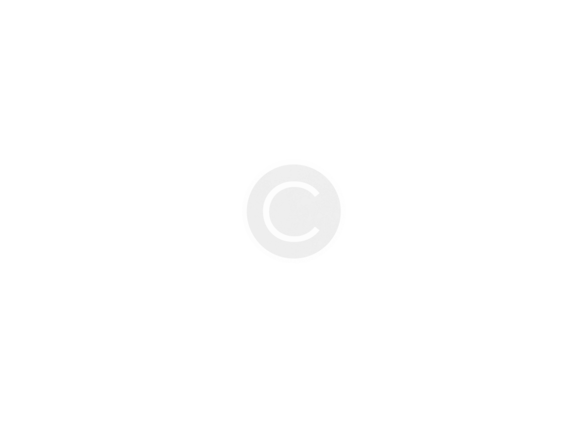 slide02_level_01.png